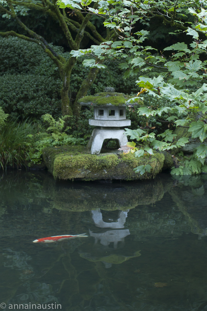 Portland Japanese Garden, 2014-0027