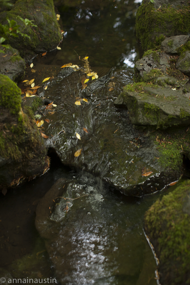 Portland Japanese Garden in Fall,  Portland, Oregon 2014-0217