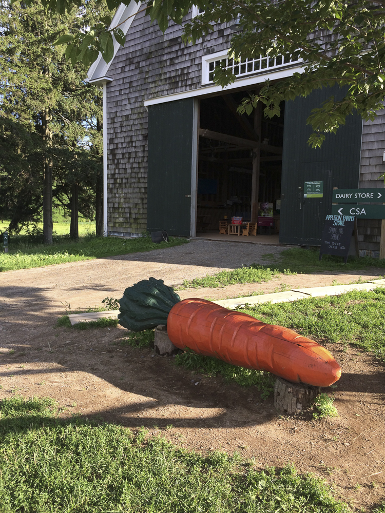 Farm store 2015-8008