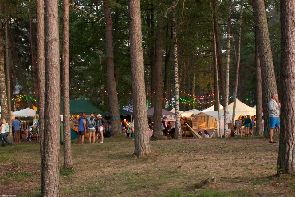 forest + lights