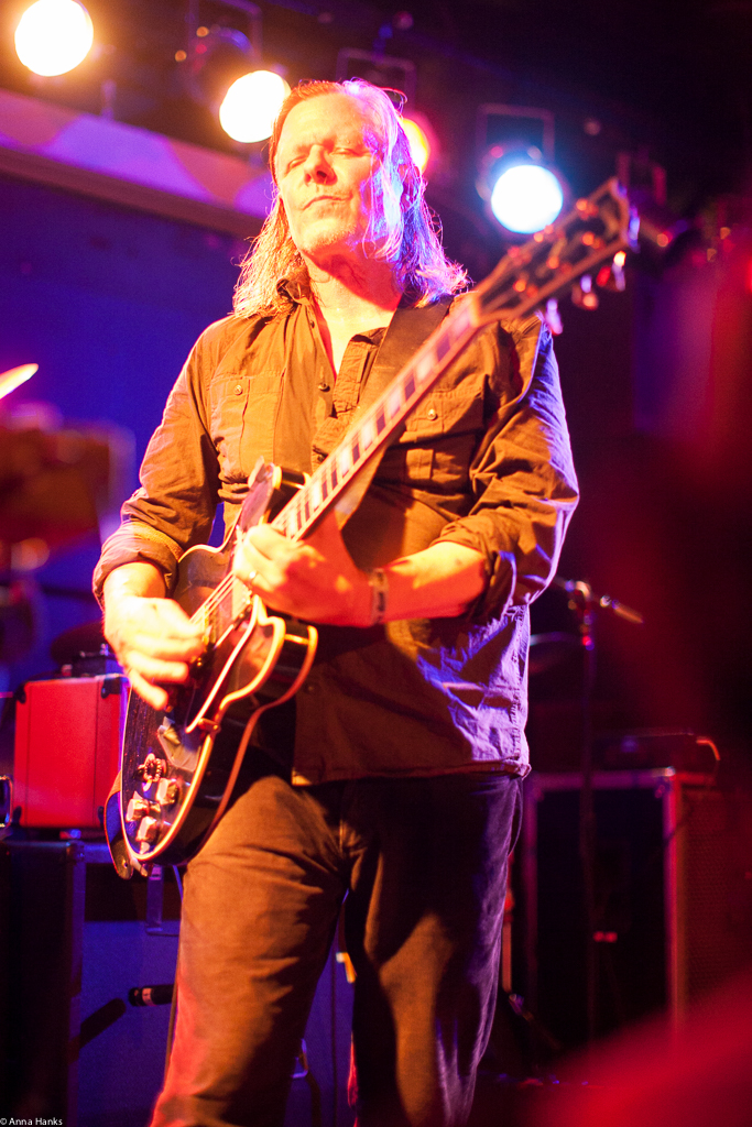 Swans in Houston, Texas 2014